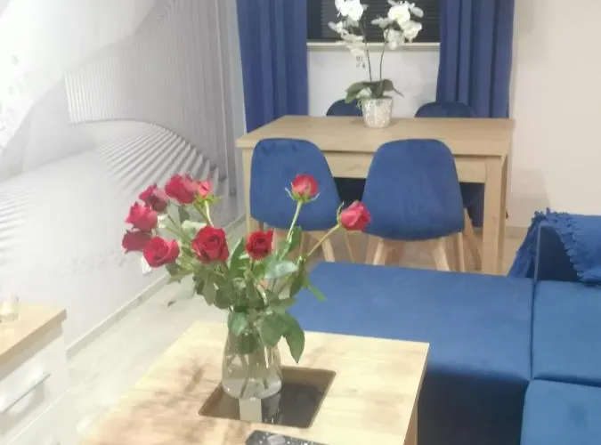 Apertament Kosmos דירה